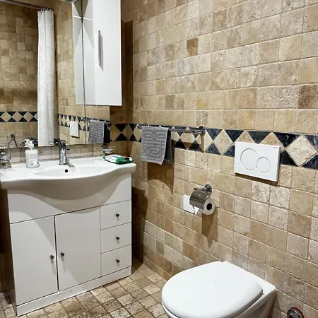 Grand 5 Pieces Au Centre Apartment *